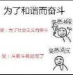为了和谐而奋斗