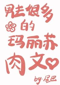 男主很多的玛丽苏肉文(nph)