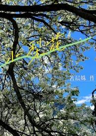 小梨花（校园h&ampampampnbsp&ampampampnbsp1V1）