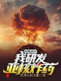 抗鹰前夕,我研发亚核炸药